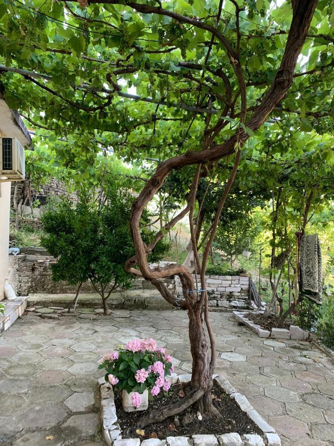 Isaraj Guest House Gjirokastër Exterior foto
